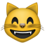 :smile_cat: