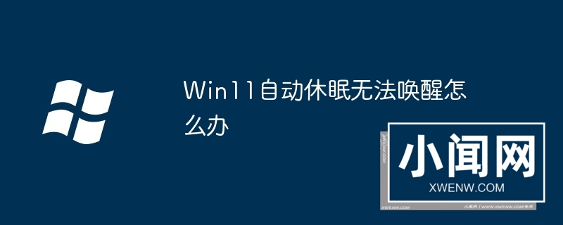 Win11自动休眠无法唤醒怎么办