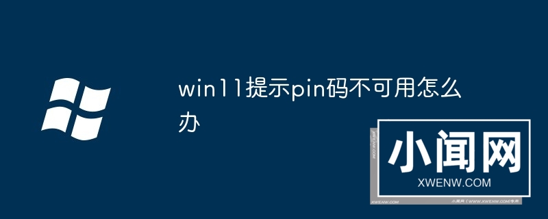 win11提示pin码不可用怎么办