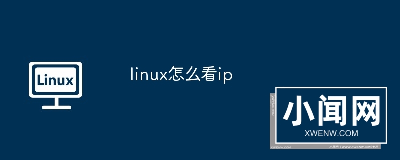 linux怎么看ip