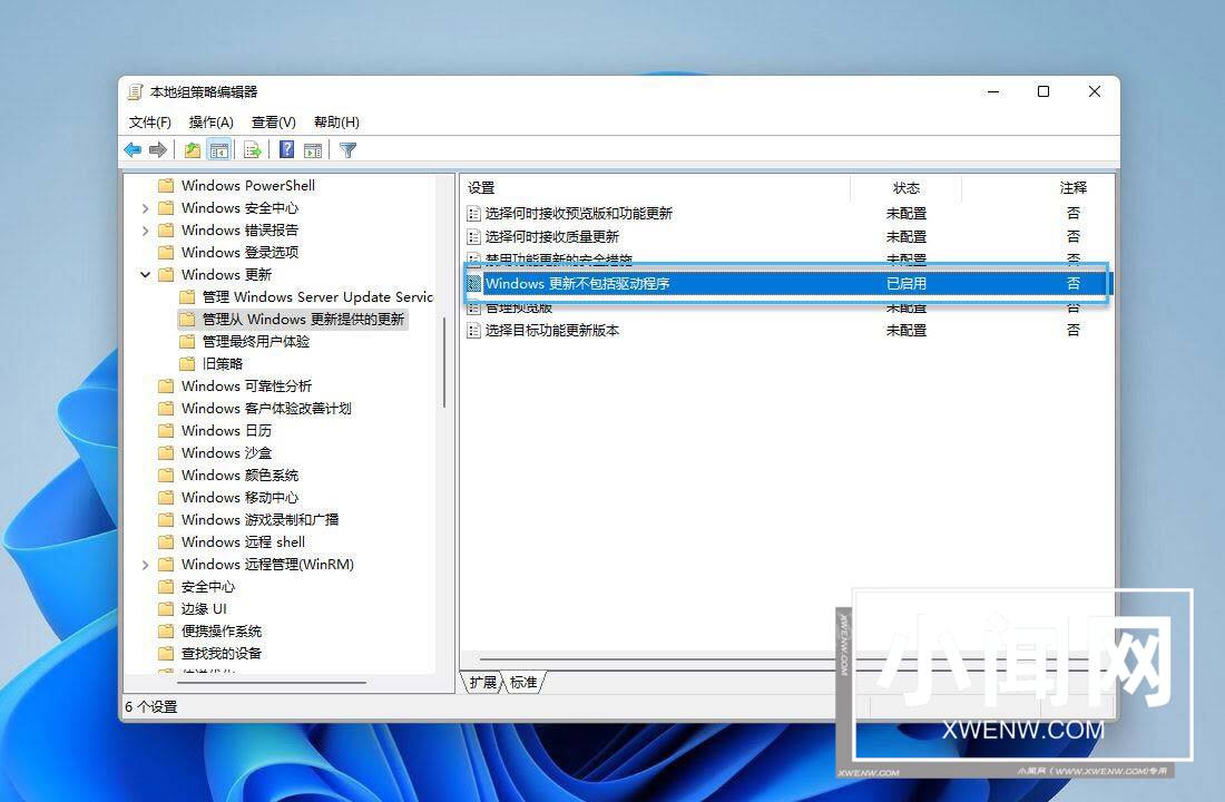 win11怎么禁止Windows Update 自动更新驱动程序？