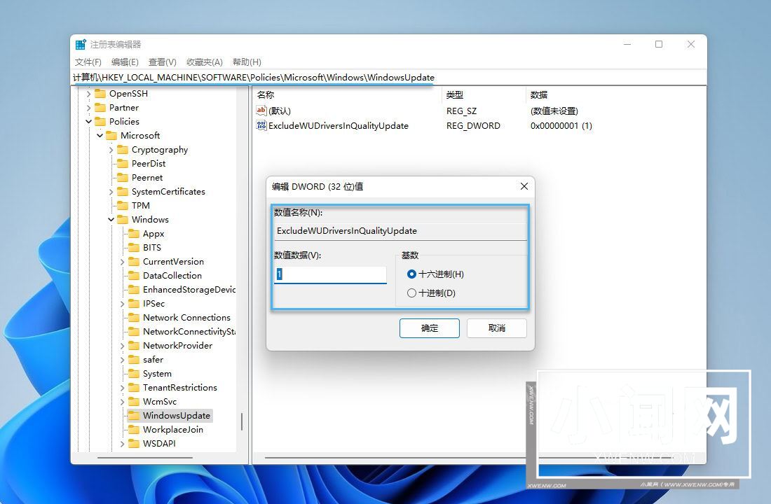 win11怎么禁止Windows Update 自动更新驱动程序？