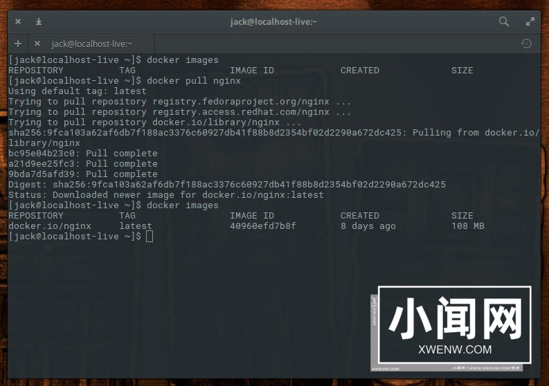 大神教你在 Linux 上安装和使用 Docker