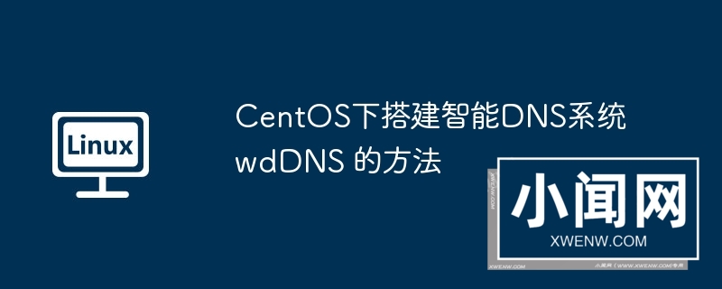 centos下搭建智能dns系统wddns 的方法