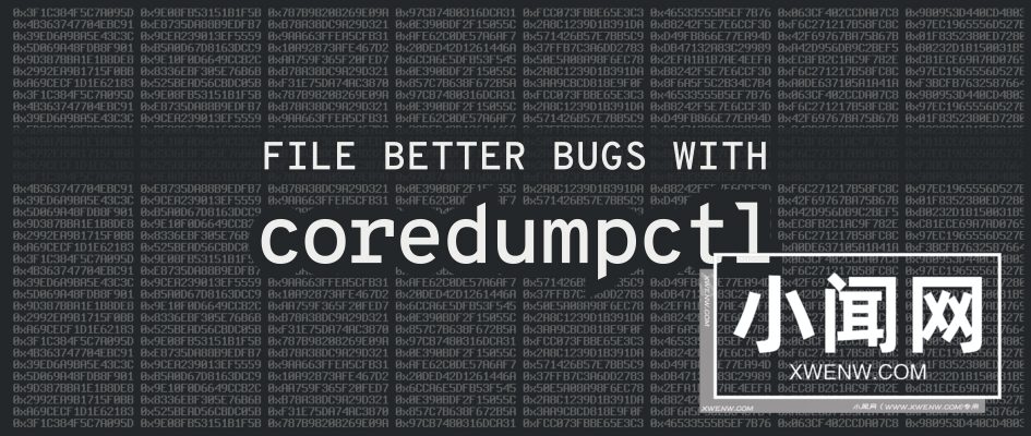 使用 coredumpctl 查找并处理 BUG