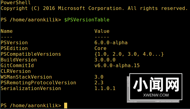 在 Linux 上体验 PowerShell 的魅力：初学者指南