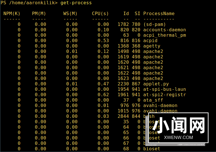 在 Linux 上体验 PowerShell 的魅力：初学者指南