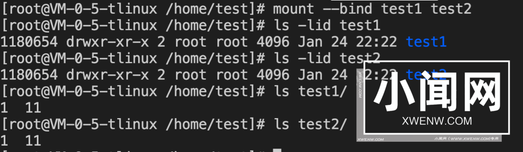 Linux下如何做到一个文件即可读写，又只读？