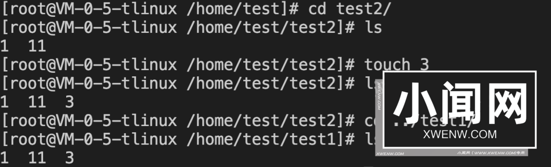 Linux下如何做到一个文件即可读写，又只读？
