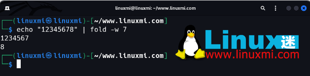 有趣的宝藏！6 个你独特而惊人的 Linux 实用工具