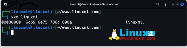 有趣的宝藏！6 个你独特而惊人的 Linux 实用工具