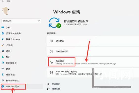 Windows11怎么开启传递优化功能 Windows11开启传递优化功能方法