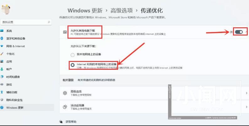 Windows11怎么开启传递优化功能 Windows11开启传递优化功能方法