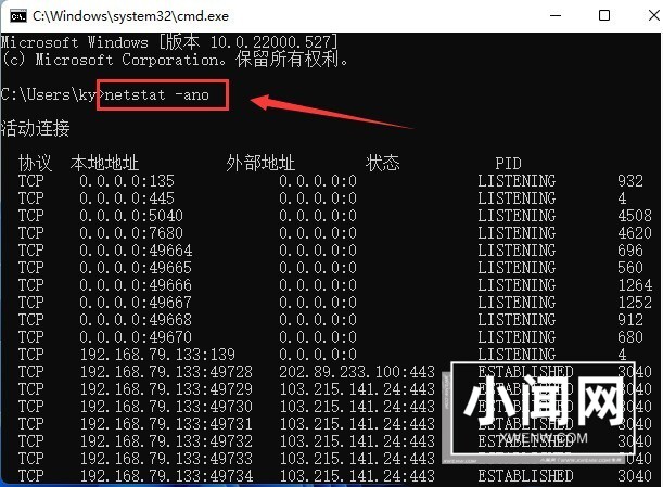 Win11怎么查找指定端口信息 Win11查找指定端口信息方法