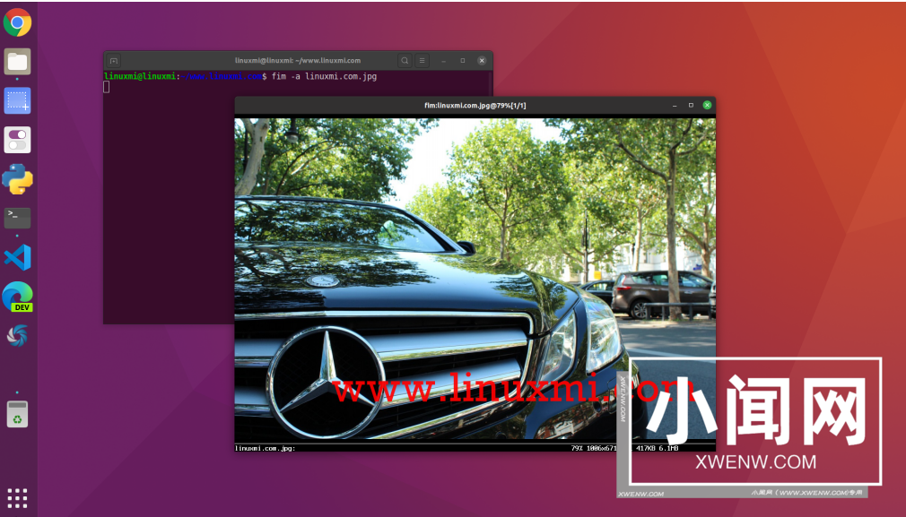 Linux终端命令行居然也可以用来查看图像