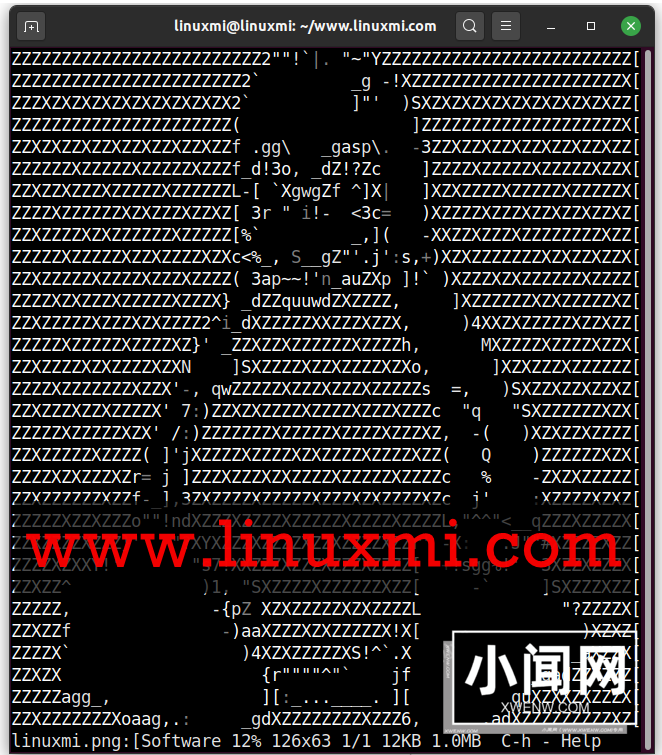 Linux终端命令行居然也可以用来查看图像