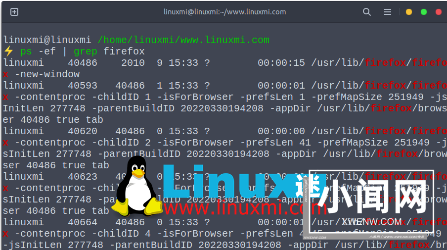 我喜欢在命令行中使用的 6 个 Linux 元字符