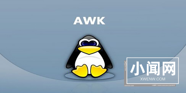 使用Linux AWK命令, 让数据处理更加高效！