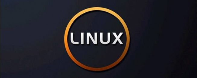 如何在Linux中安全的删除文件和目录