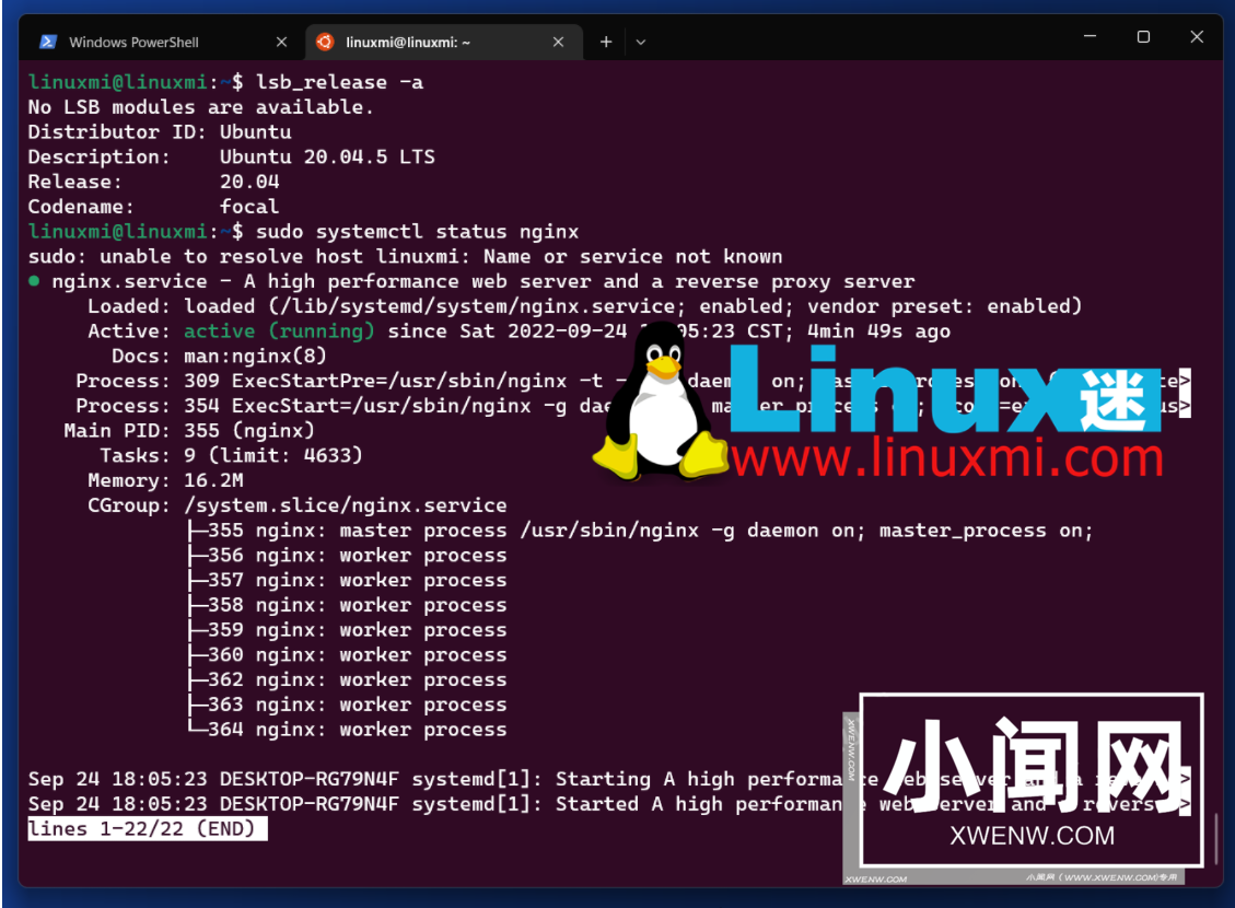 WSL还是标准Linux发行版？Windows系统上使用Linux的最佳方案