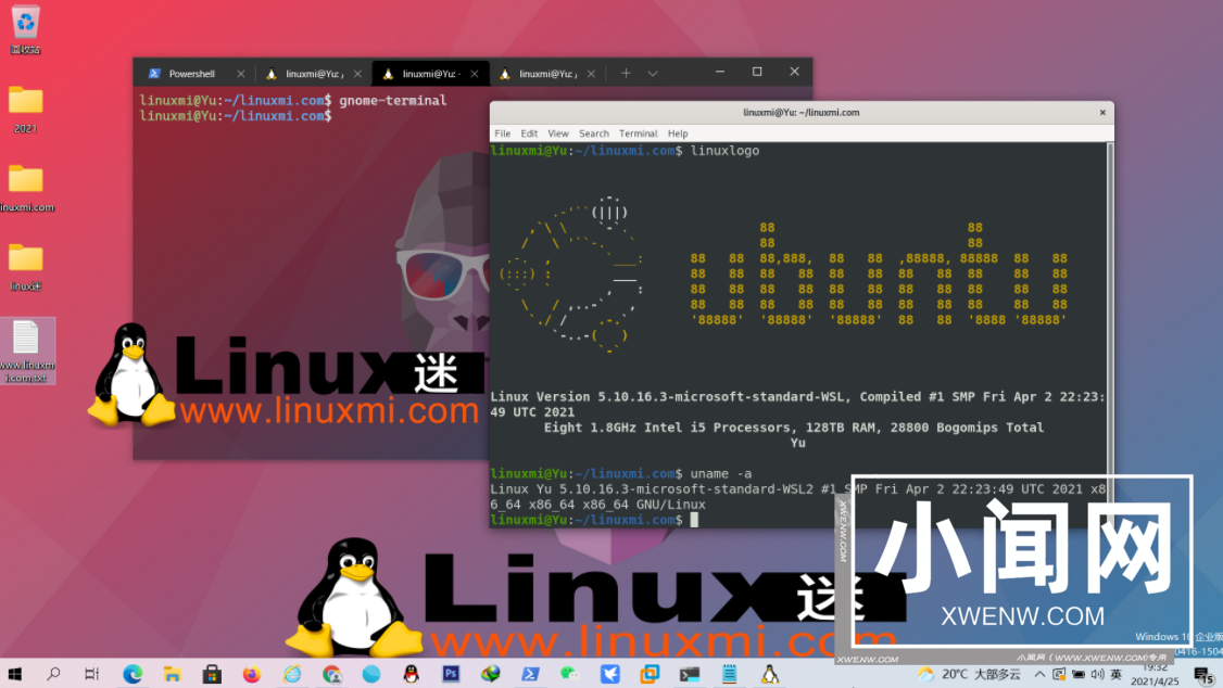 WSL还是标准Linux发行版？Windows系统上使用Linux的最佳方案