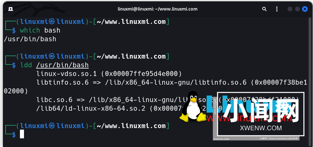 Linux上的chroot命令：如何在隔离的空间中运行和测试应用程序