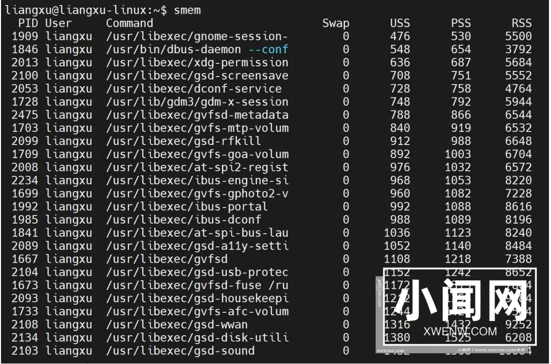 Linux内存管理神器：smem工具