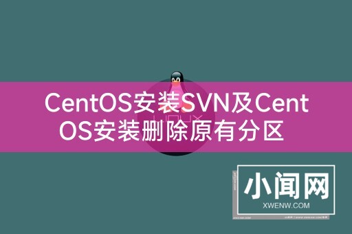 CentOS安装SVN及CentOS安装删除原有分区