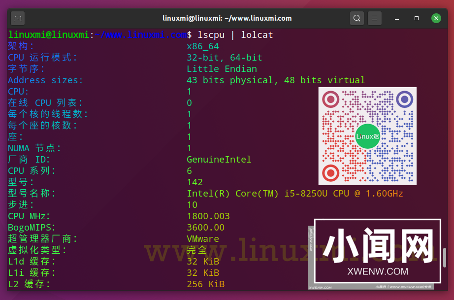 提高生产力的 10 个 Linux 命令