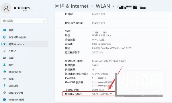 Windows11怎么查找网络mac地址 查找网络mac地址方法