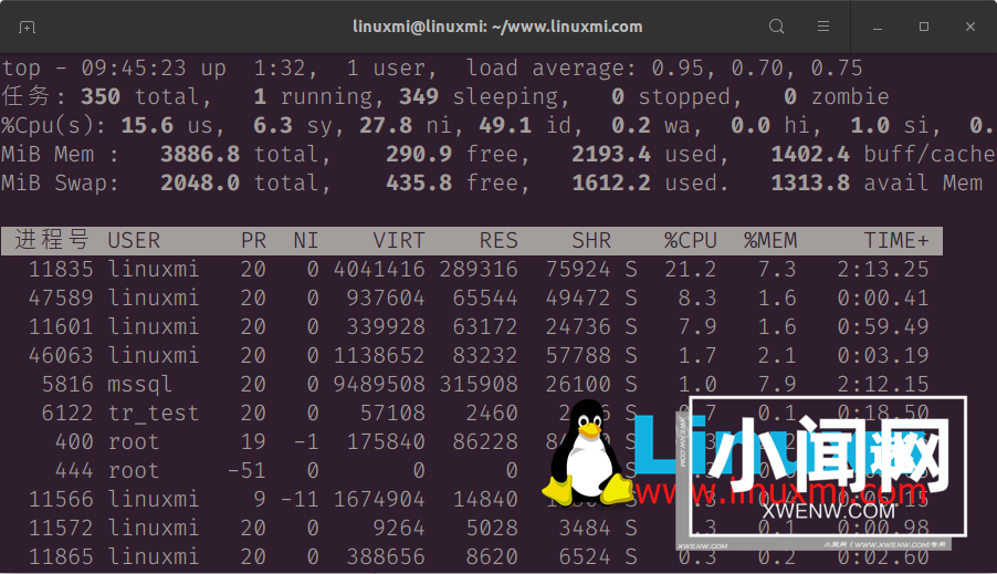 我最喜欢的 Linux top 命令选项