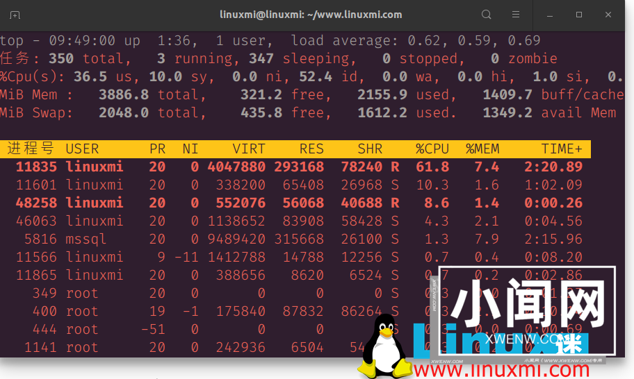 我最喜欢的 Linux top 命令选项