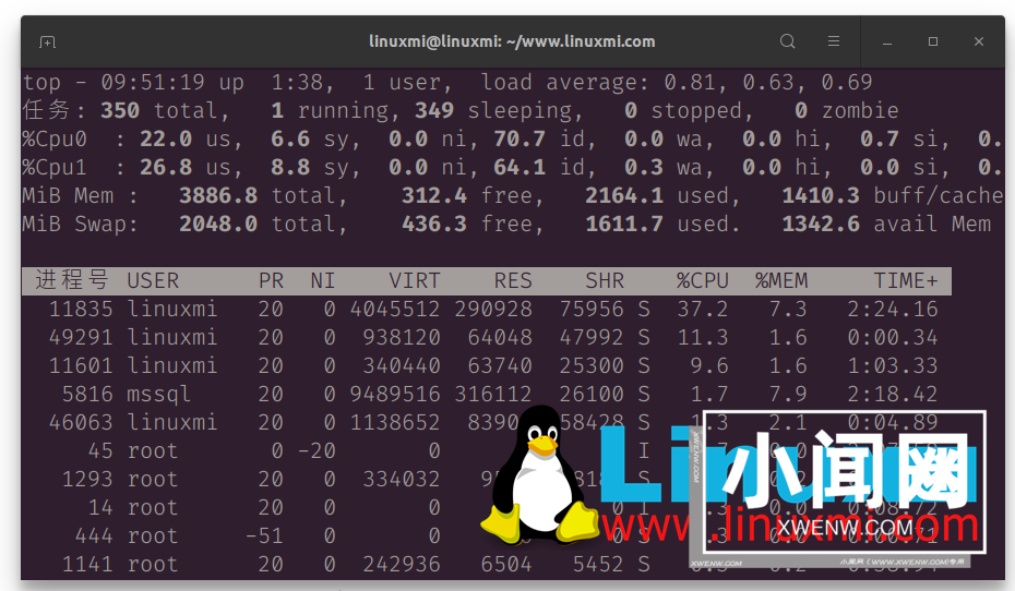 我最喜欢的 Linux top 命令选项