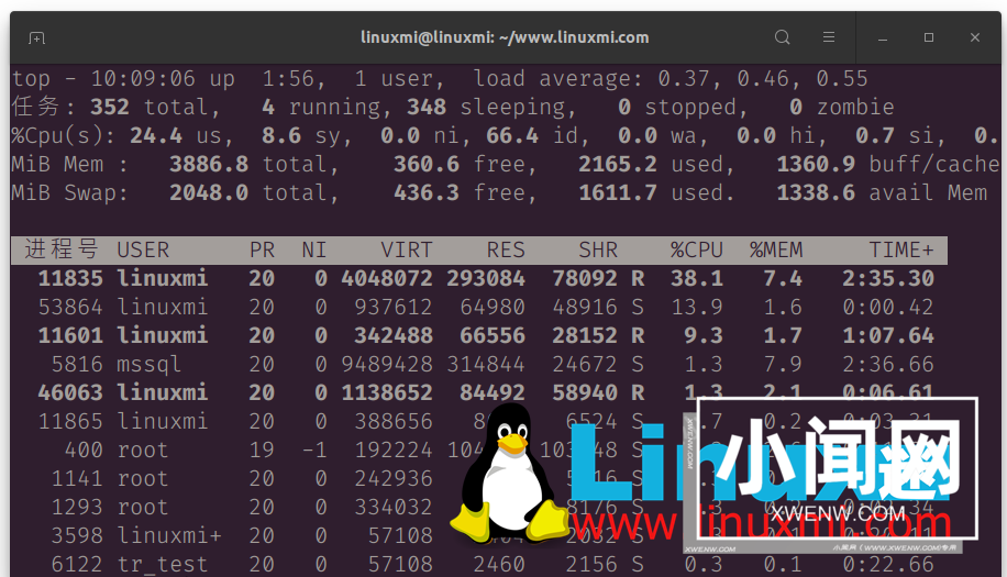 我最喜欢的 Linux top 命令选项