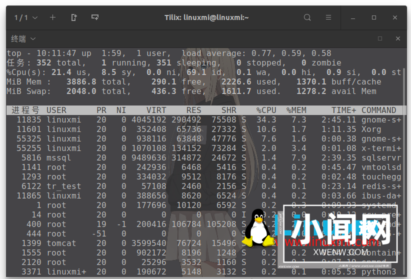 我最喜欢的 Linux top 命令选项