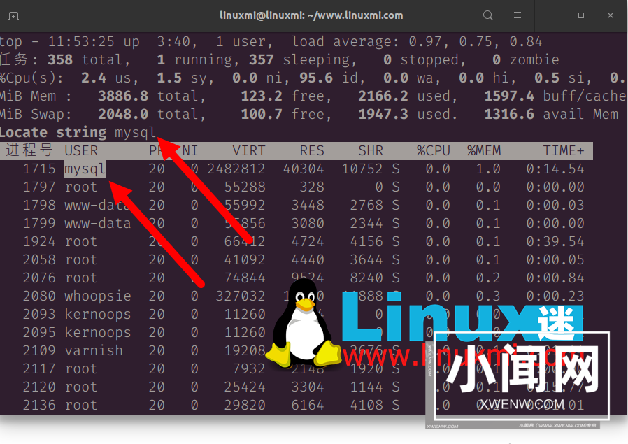 我最喜欢的 Linux top 命令选项