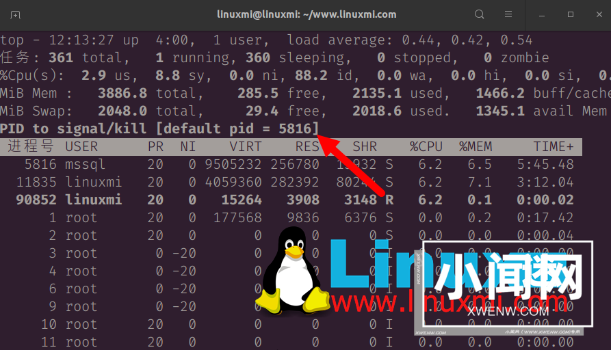 我最喜欢的 Linux top 命令选项