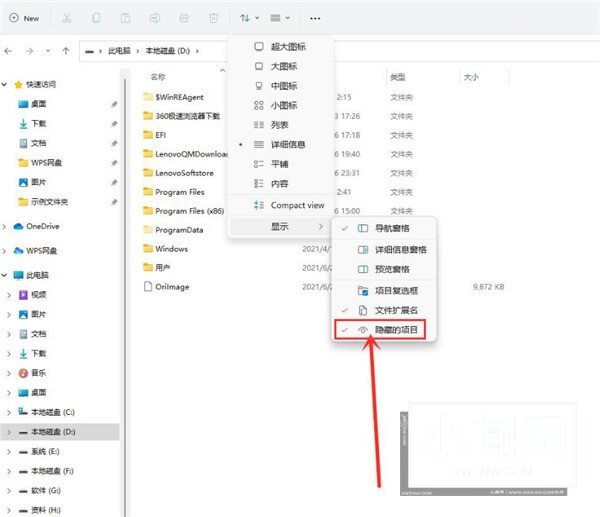 Win11怎么查看隐藏项目_Win11查看隐藏项目方法