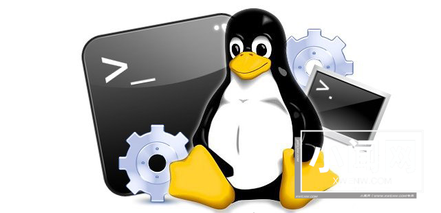 探秘 Linux 系统中的 uname 命令