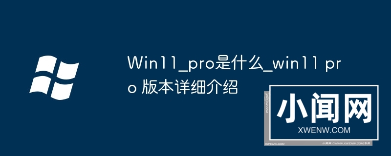 Win11 pro是什么_win11 pro 版本详细介绍