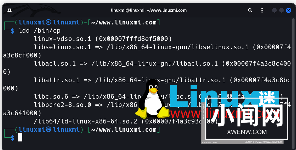 Linux上的ldd命令：如何轻松查找和管理软件包依赖关系