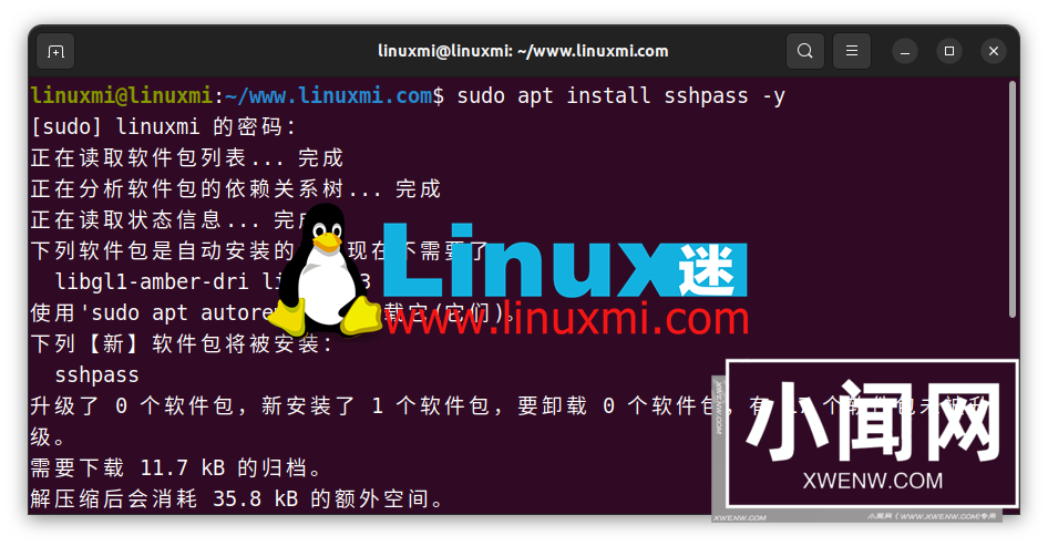 如何在 Linux 中将密码传递给 scp 命令