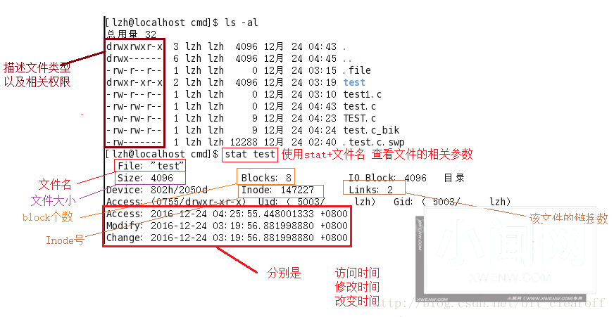 精通Linux文件时间：从入门到实战