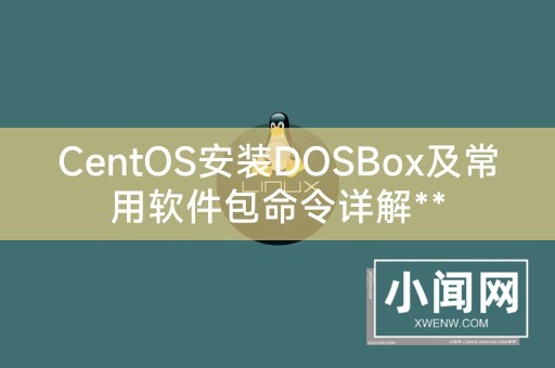 CentOS安装DOSBox及常用软件包命令详解**