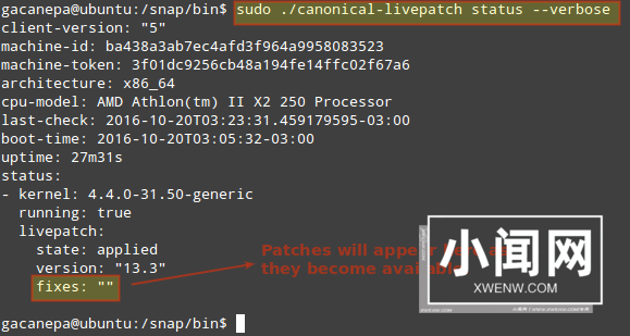 Livepatch —— 免重启给 Ubuntu Linux 内核打关键性安全补丁