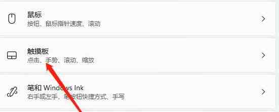 Win11怎么关闭触控板_Win11关闭触控板的方法