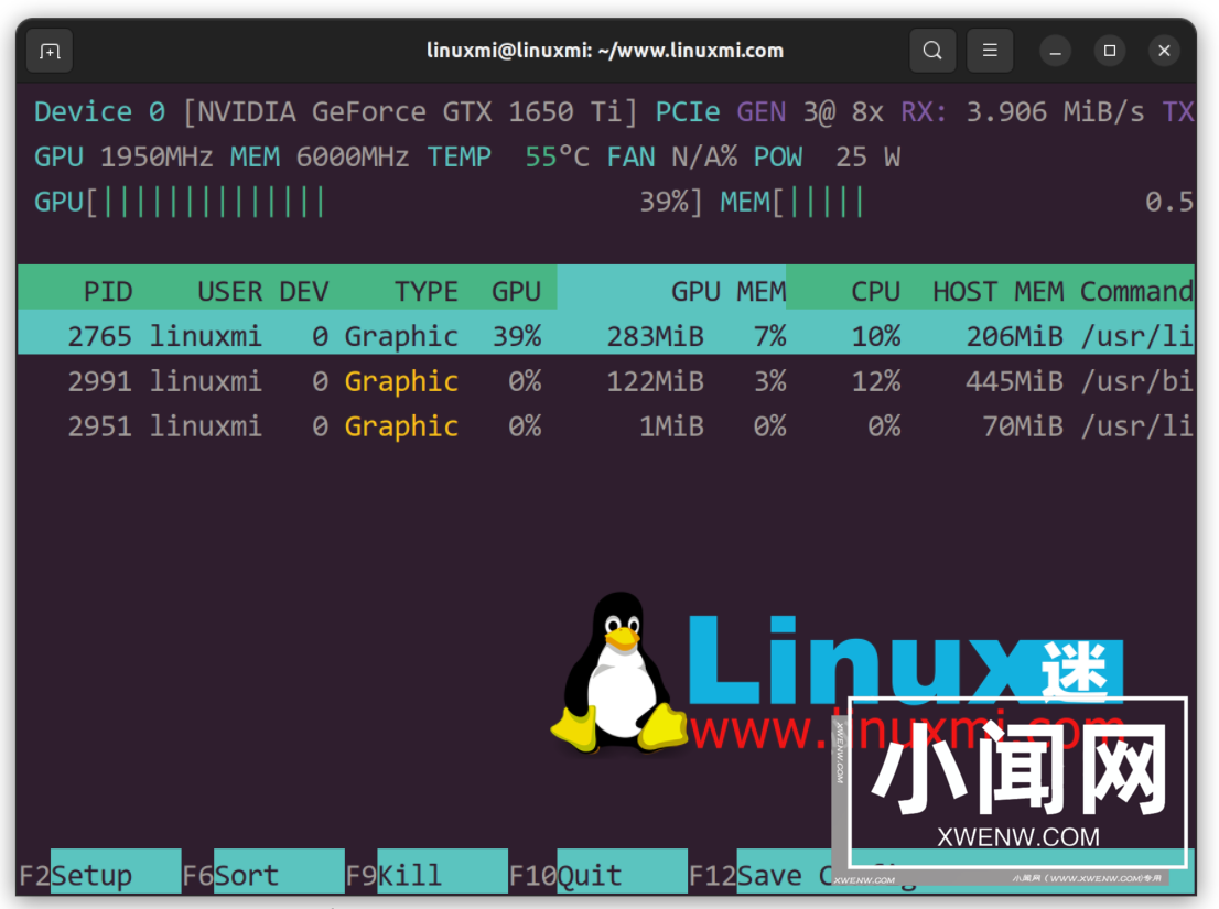 nvtop – 出色的 Linux 任务监视器