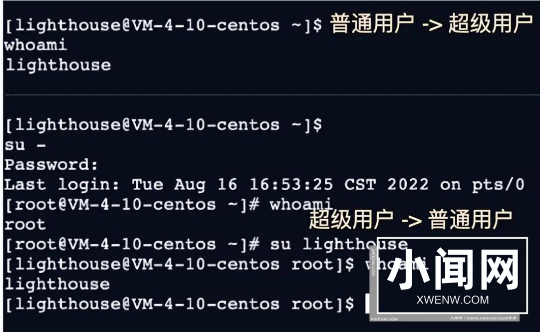 shell 运行原理和 Linux 权限详解