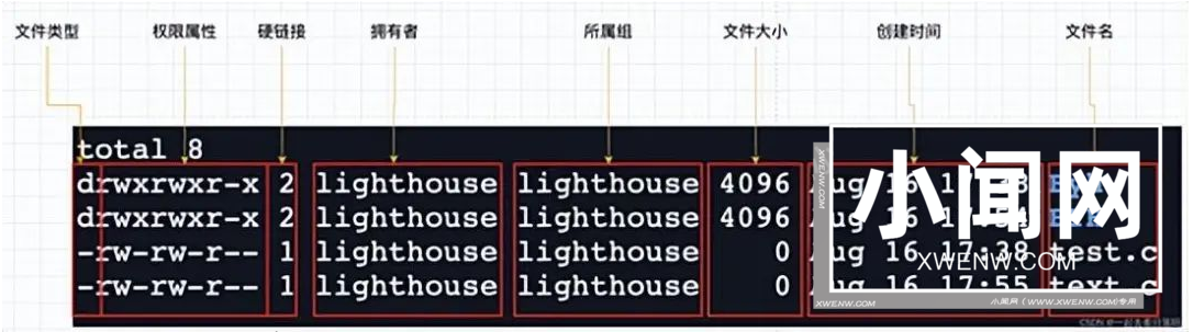 shell 运行原理和 Linux 权限详解