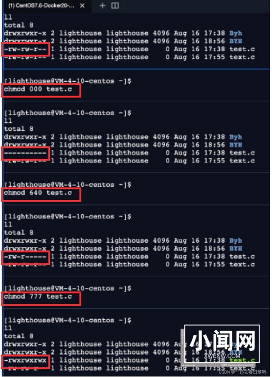 shell 运行原理和 Linux 权限详解